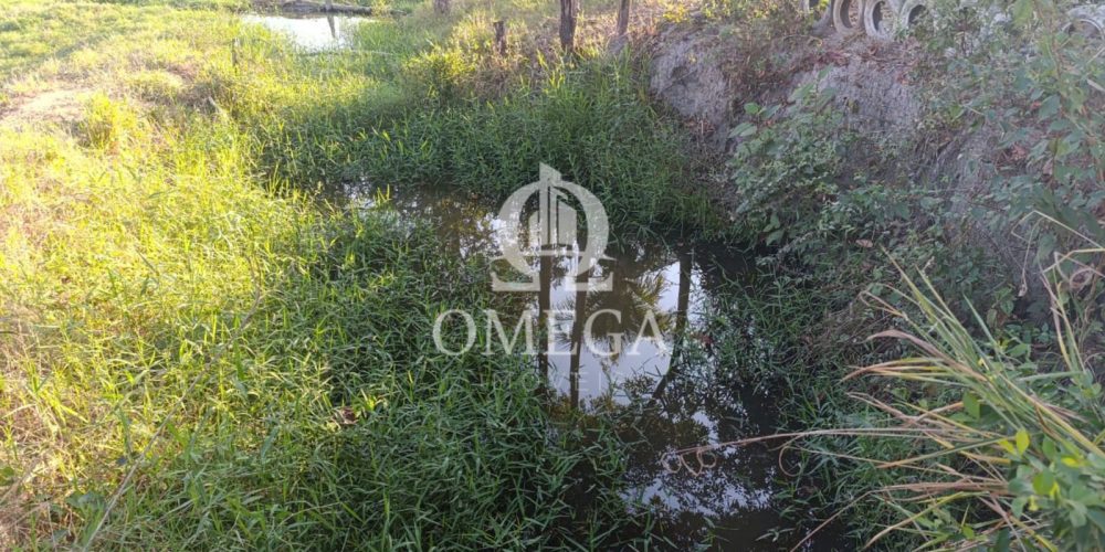 Terreno - Fazenda de 3,5 Alqueires em Aimores-MG - Ômega Imóveis Imobiliária- Linhares-ES