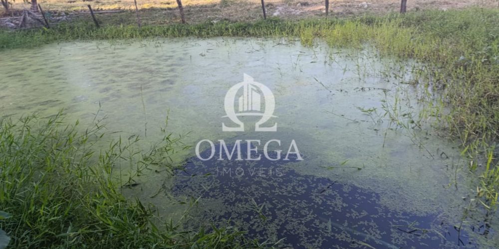 Terreno - Fazenda de 3,5 Alqueires em Aimores-MG - Ômega Imóveis Imobiliária- Linhares-ES