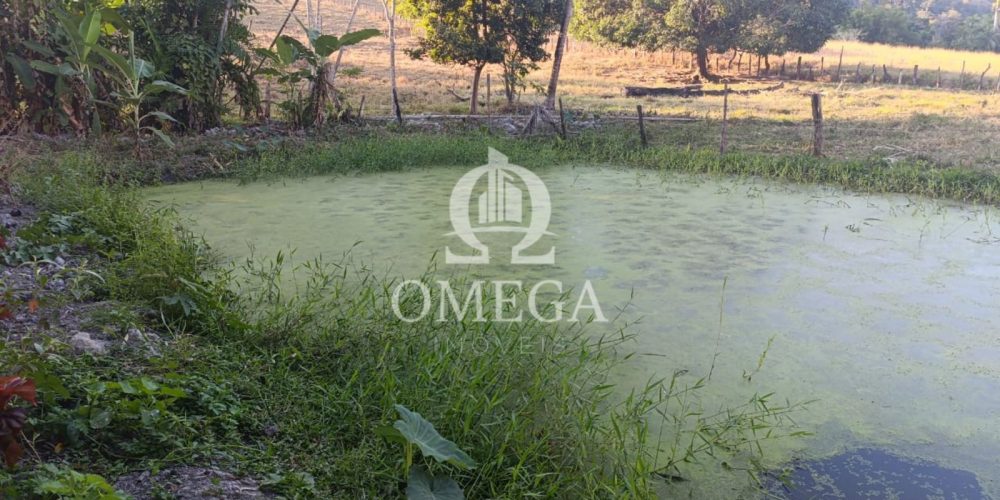 Terreno - Fazenda de 3,5 Alqueires em Aimores-MG - Ômega Imóveis Imobiliária- Linhares-ES