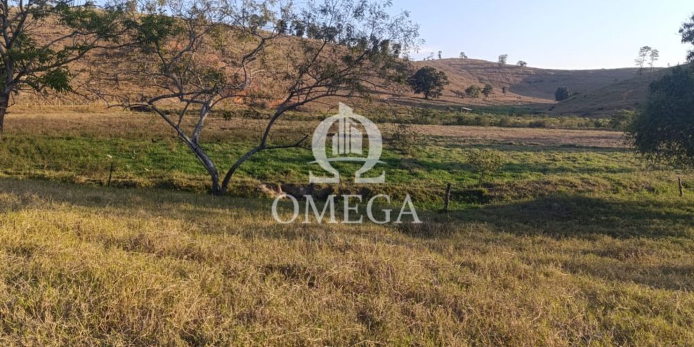 Terreno - Fazenda de 3,5 Alqueires em Aimores-MG - Ômega Imóveis Imobiliária- Linhares-ES