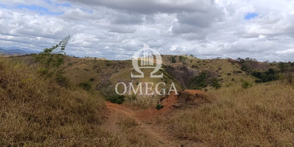 WhatsApp Image 2024-07-08 at 15.42.34