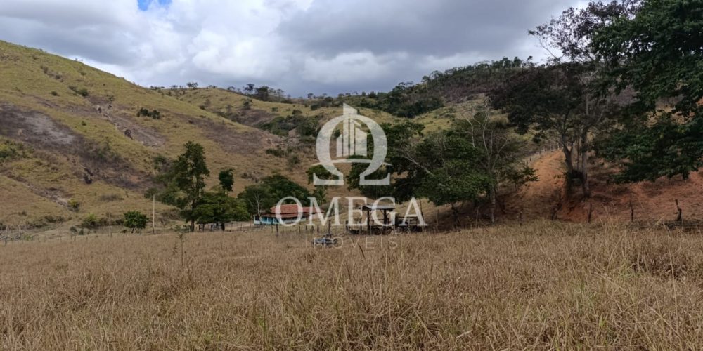 WhatsApp Image 2024-07-08 at 15.42.35