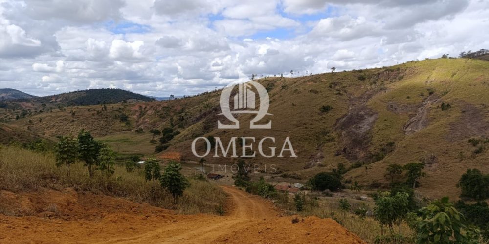 WhatsApp Image 2024-07-08 at 15.42.36 (1)