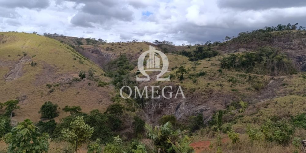 WhatsApp Image 2024-07-08 at 15.42.36