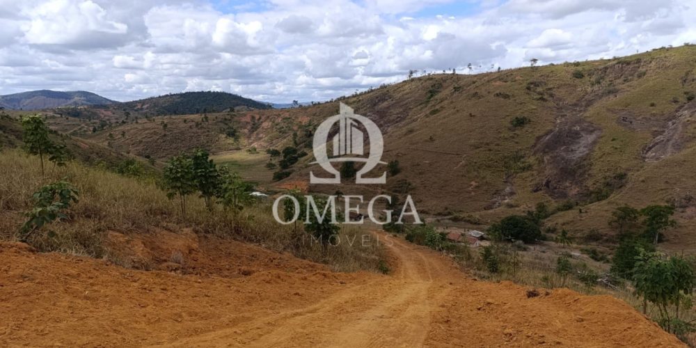 WhatsApp Image 2024-07-08 at 15.42.37