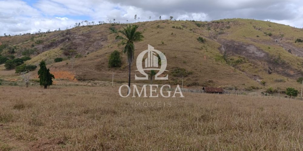 WhatsApp Image 2024-07-08 at 15.42.38 (1)