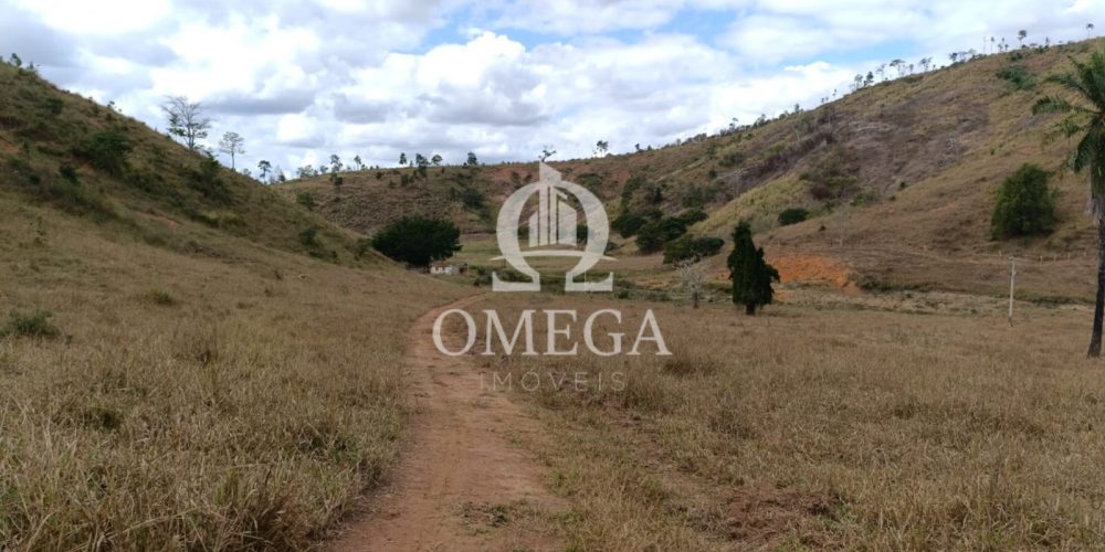 WhatsApp Image 2024-07-08 at 15.42.38