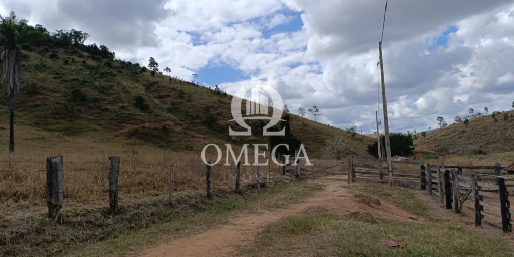 WhatsApp Image 2024-07-08 at 15.42.39