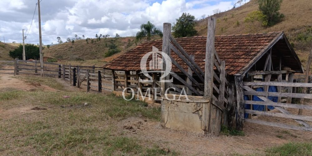 WhatsApp Image 2024-07-08 at 15.42.40 (1)