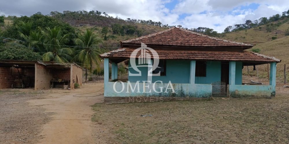 WhatsApp Image 2024-07-08 at 15.42.40