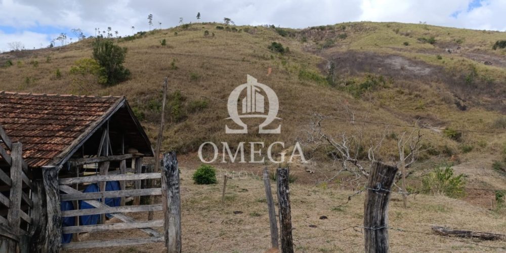 WhatsApp Image 2024-07-08 at 15.42.41 (1)