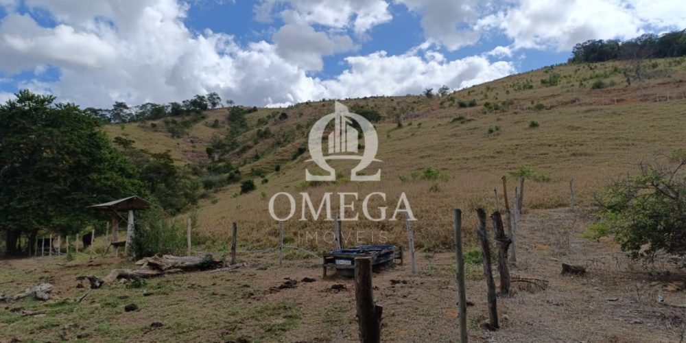 WhatsApp Image 2024-07-08 at 15.42.41