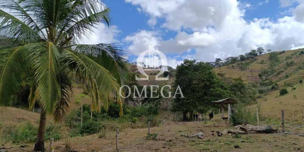 WhatsApp Image 2024-07-08 at 15.42.44