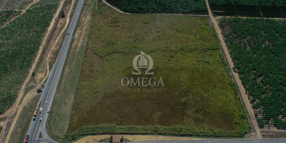 WhatsApp Image 2024-08-29 at 15.41.13 (1)