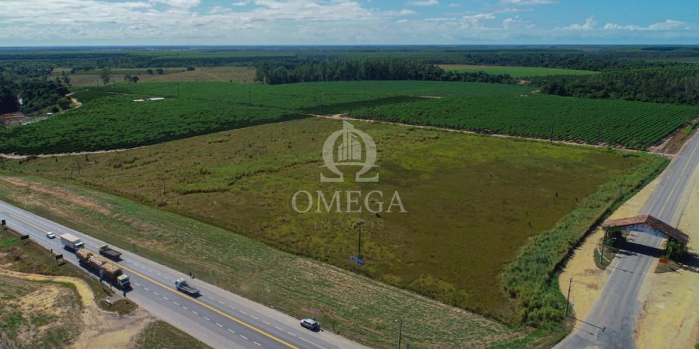 WhatsApp Image 2024-08-29 at 15.41.13 (2)