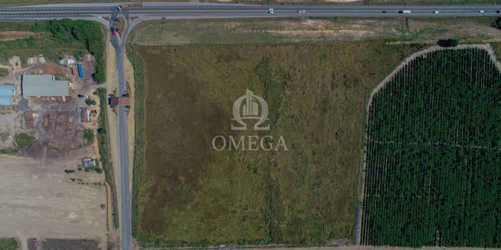 WhatsApp Image 2024-08-29 at 15.41.13