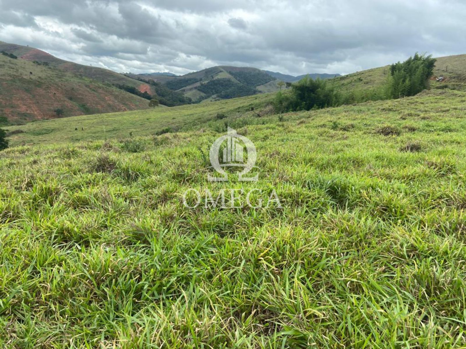 Fazenda 80 alqueires em Ipanema-MG - Ômega Imóveis Imobiliária - Linhares-ES