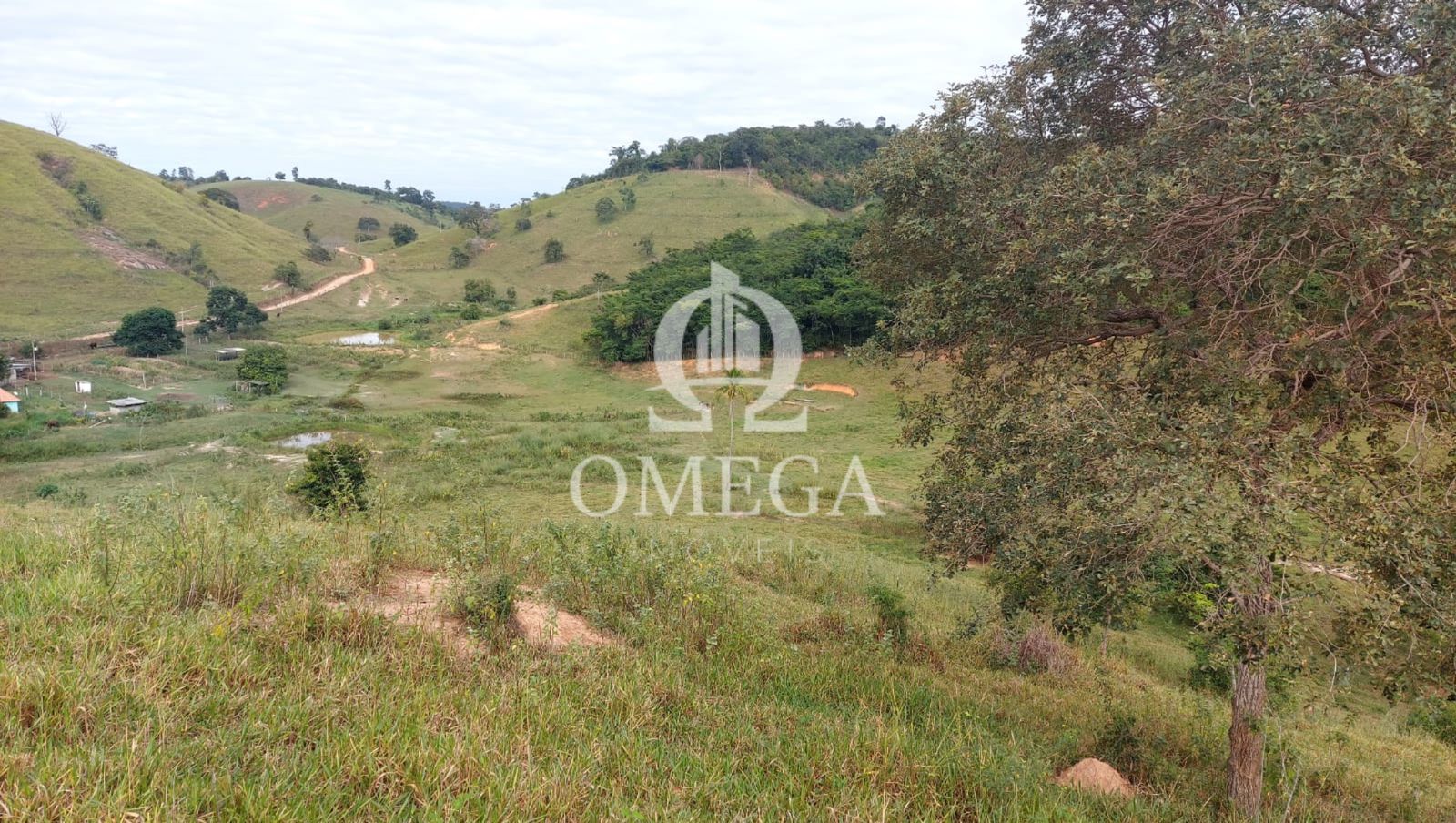 Terreno - Fazenda em Aimores-MG - Linhares-ES - Ômega Imóveis Imobiliária