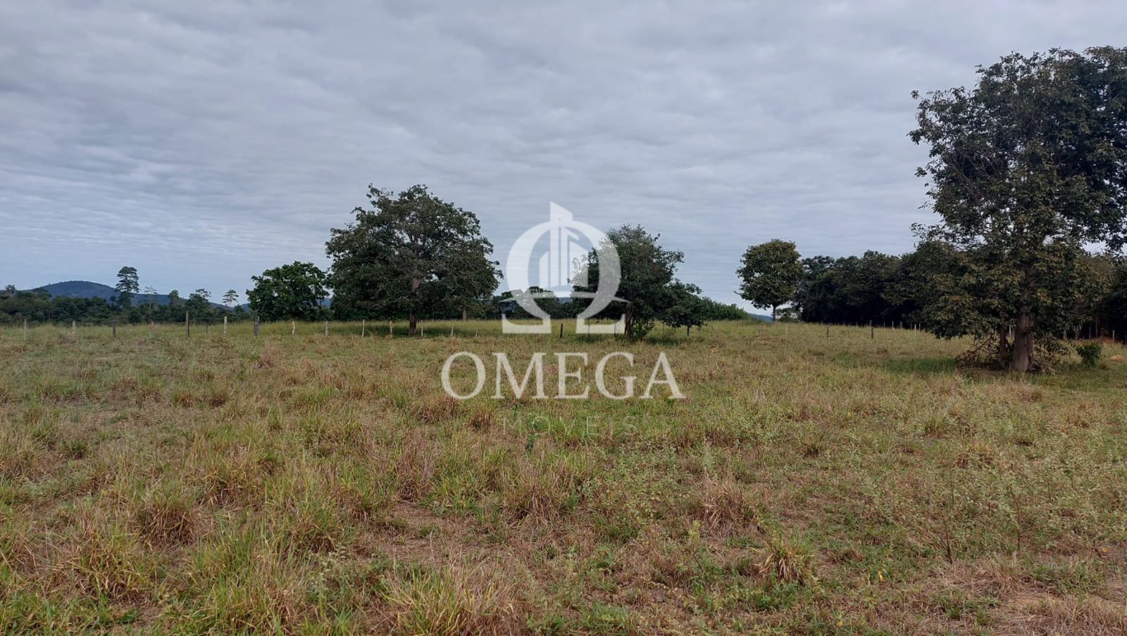Terreno - Fazenda em Aimores-MG - Linhares-ES - Ômega Imóveis Imobiliária