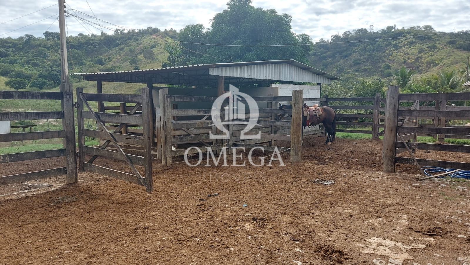 Terreno - Fazenda em Aimores-MG - Linhares-ES - Ômega Imóveis Imobiliária