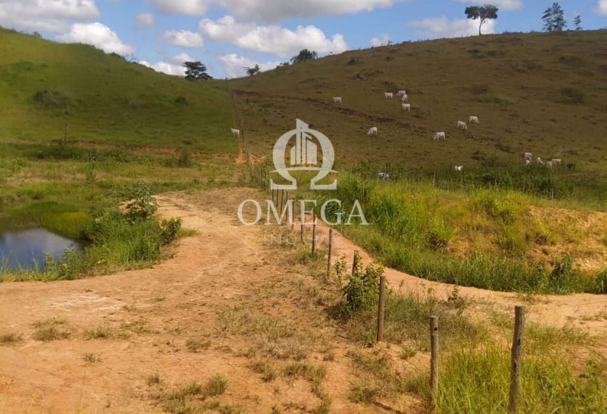 Terreno - Fazenda de 22 Alqueires em Aimores-MG - Ômega Imóveis Imobiliári a- Linhares-ES