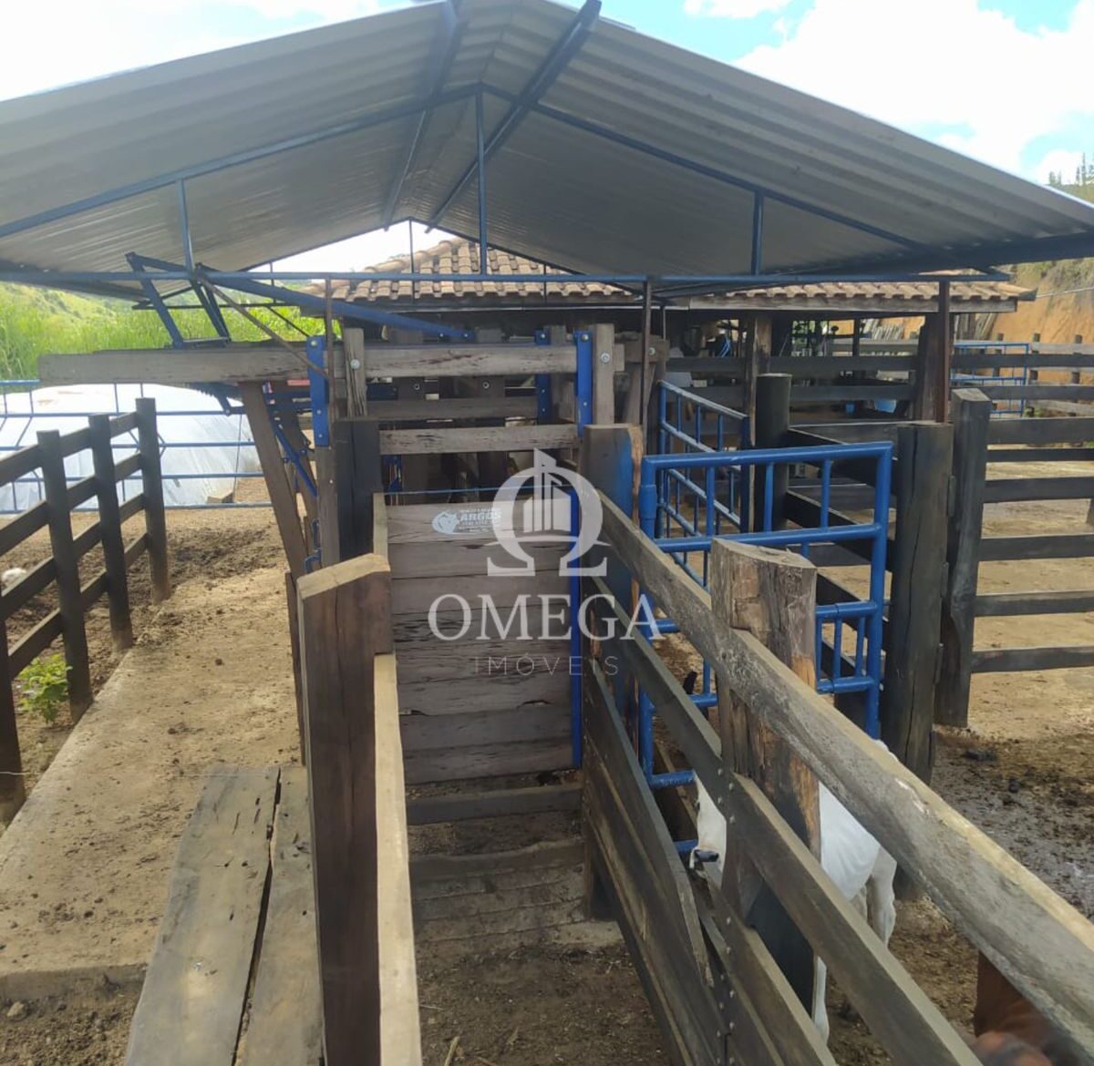 Terreno - Fazenda de 22 Alqueires em Aimores-MG - Ômega Imóveis Imobiliári a- Linhares-ES