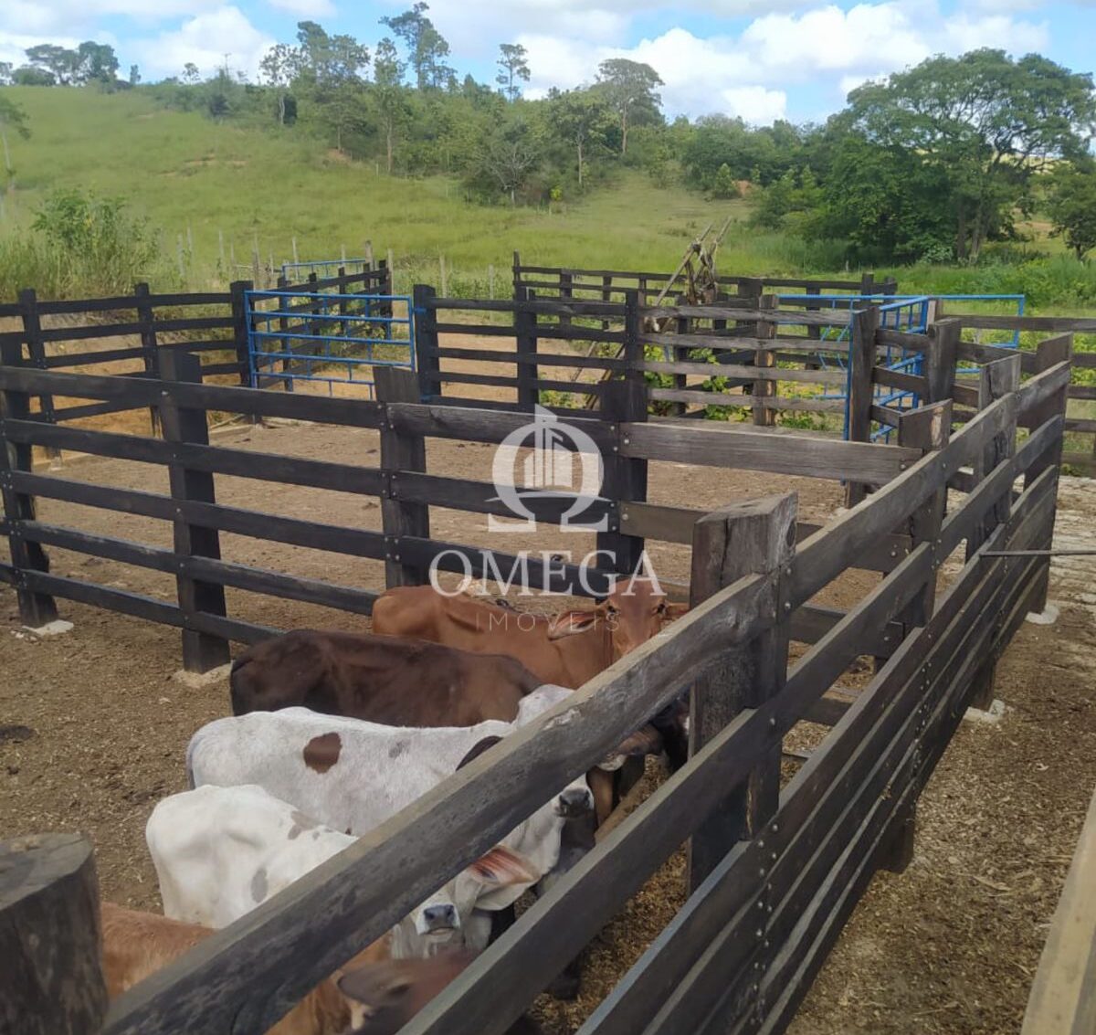 Terreno - Fazenda de 22 Alqueires em Aimores-MG - Ômega Imóveis Imobiliári a- Linhares-ES