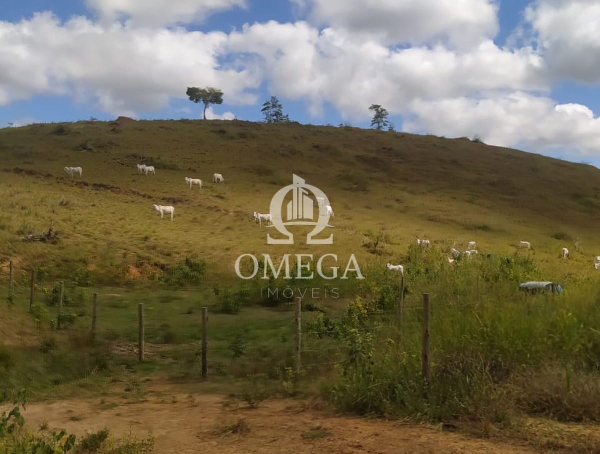 Terreno - Fazenda de 22 Alqueires em Aimores-MG - Ômega Imóveis Imobiliári a- Linhares-ES