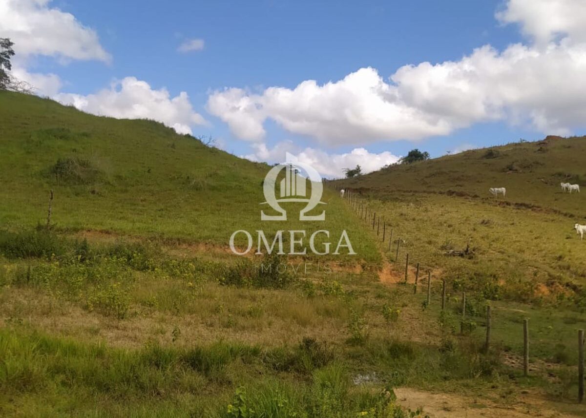 Terreno - Fazenda de 22 Alqueires em Aimores-MG - Ômega Imóveis Imobiliári a- Linhares-ES