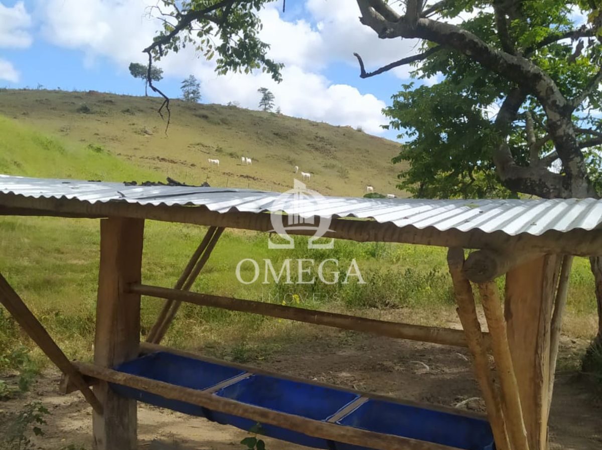 Terreno - Fazenda de 22 Alqueires em Aimores-MG - Ômega Imóveis Imobiliári a- Linhares-ES
