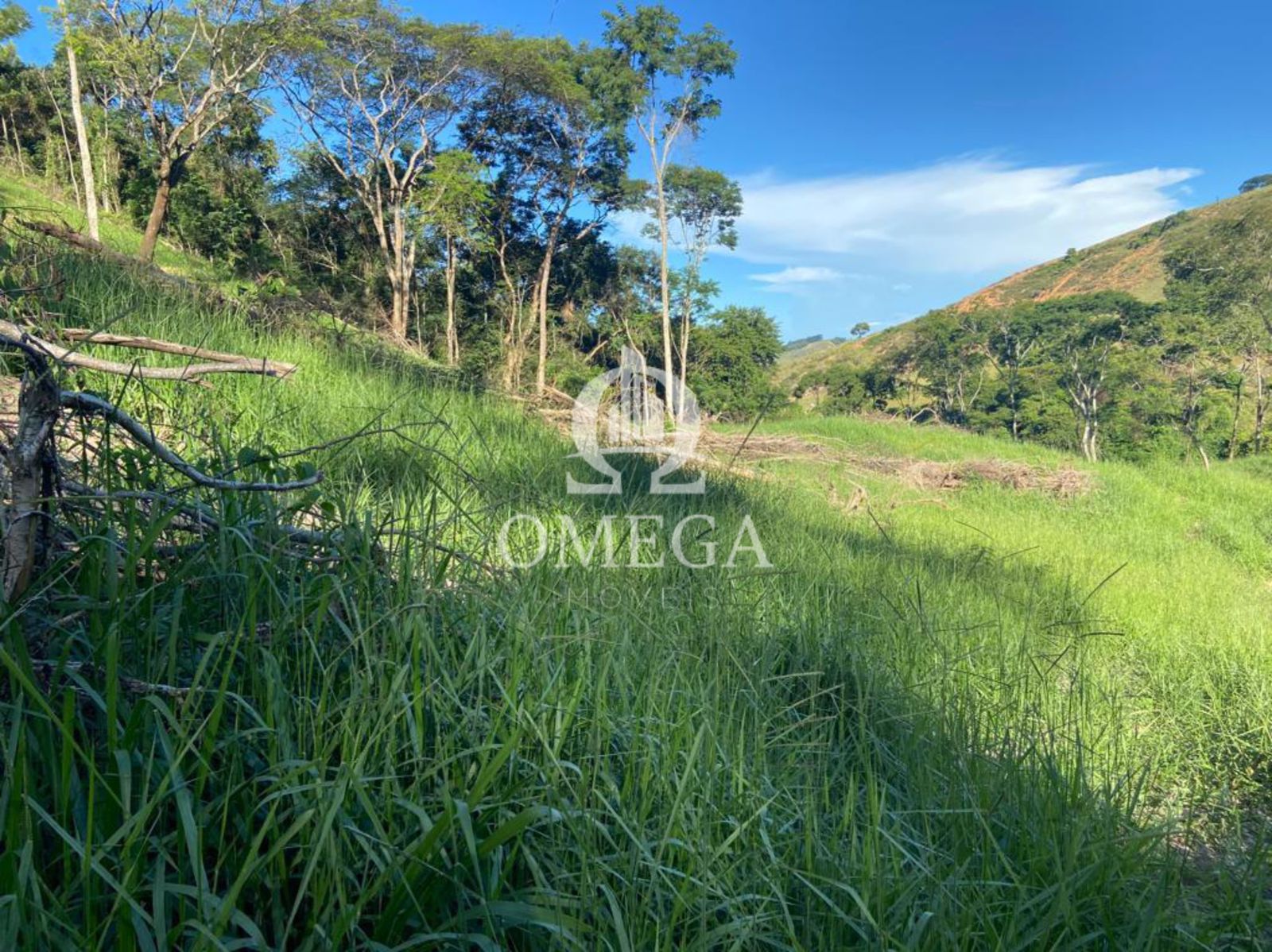 Fazenda 80 alqueires em Ipanema-MG - Ômega Imóveis Imobiliária - Linhares-ES
